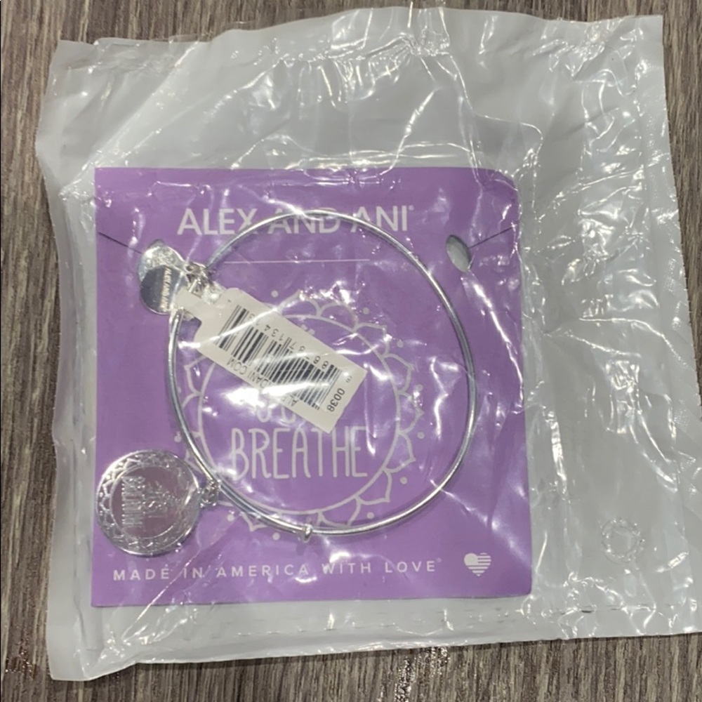 Alex and Ani Just Breathe adjustable bangle